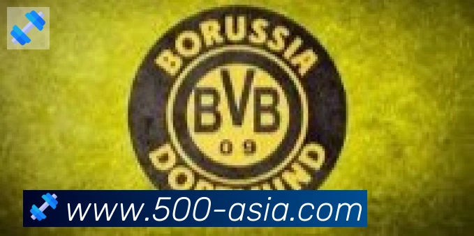 500彩票官网合作伙伴